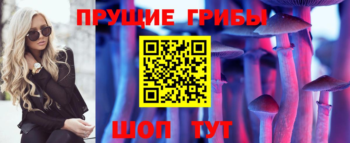 Псилоцибиновые грибы MAGIC MUSHROOMS  Вход с VPN  Избербаш  Галлюциногенные грибы Psilocybine cubensis 